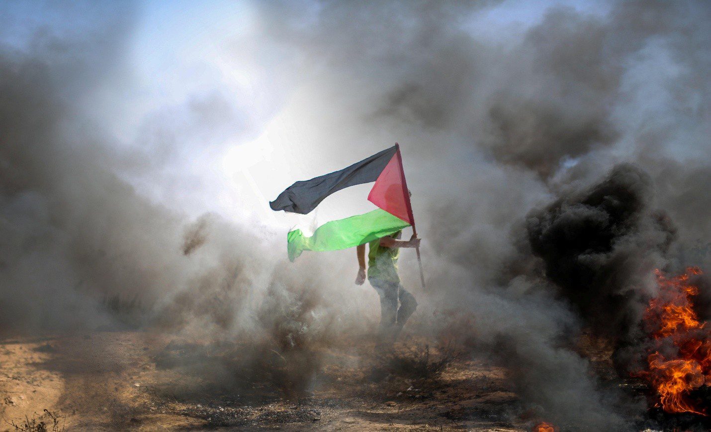can stories from palestine change how we see war ‎